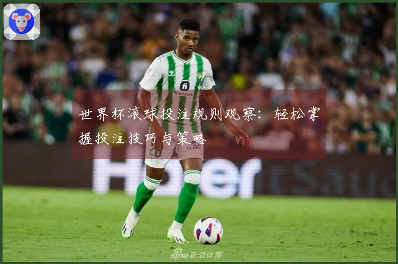 世界杯滚球投注规则观察：轻松掌握投注技巧与策略