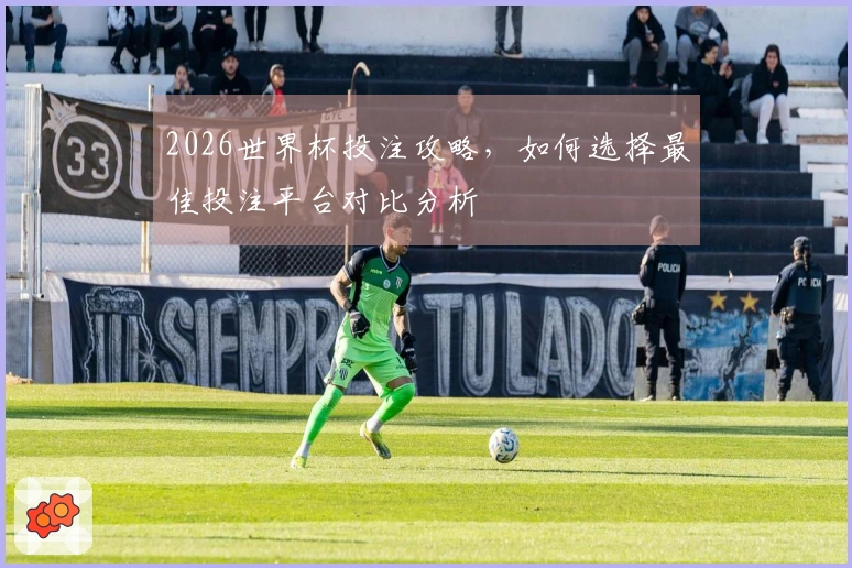 2026世界杯投注攻略，如何选择最佳投注平台对比分析