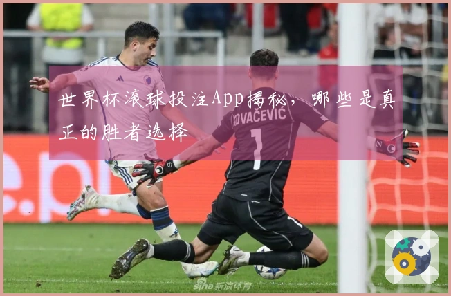 世界杯滚球投注App揭秘,哪些是真正的胜者选择