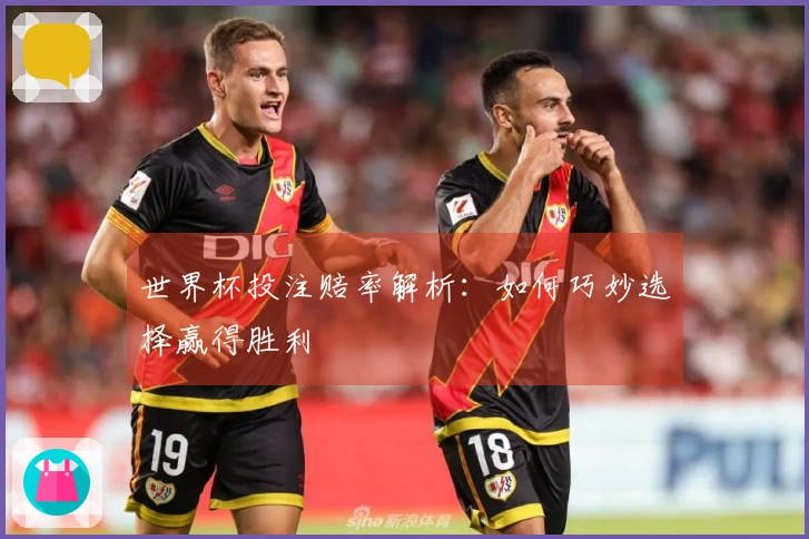 世界杯投注赔率解析：如何巧妙选择赢得胜利