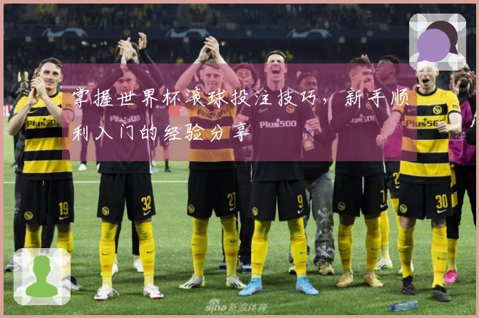 掌握世界杯滚球投注技巧，新手顺利入门的经验分享