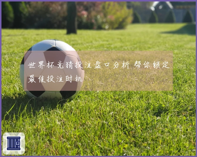 世界杯竞猜投注盘口分析 帮你锁定最佳投注时机
