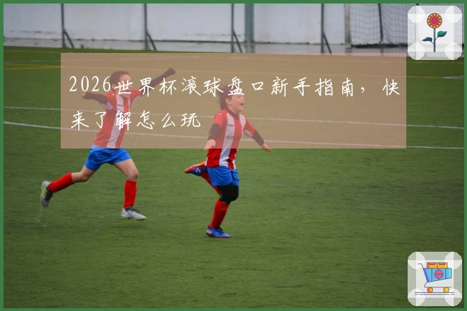 2026世界杯滚球盘口新手指南，快来了解怎么玩