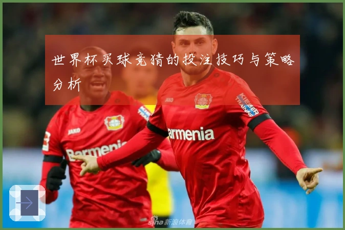 世界杯买球竞猜的投注技巧与策略分析