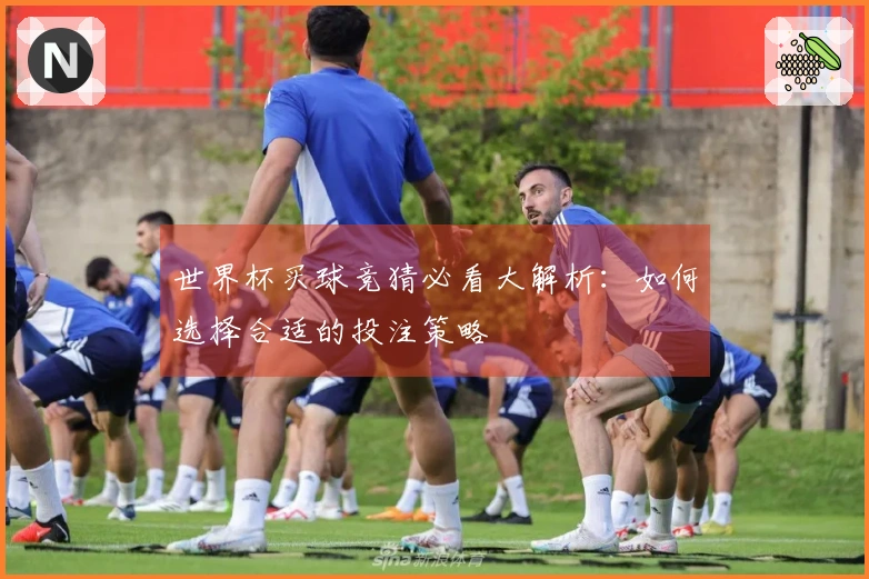 世界杯买球竞猜必看大解析：如何选择合适的投注策略