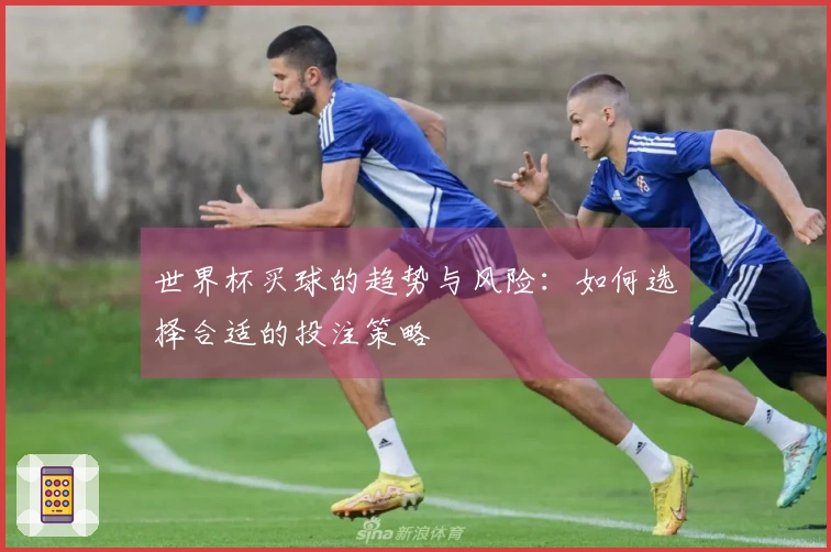 世界杯买球的趋势与风险：如何选择合适的投注策略